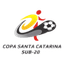 Copa Santa Catarina