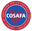 league logo