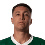 Thalys Henrique Gomes de Araújo