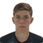 Eduardo Franzon Mosconi