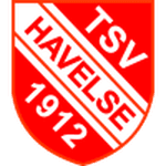 home logo