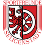 home logo