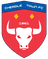 home logo