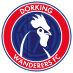 Dorking Wanderers W