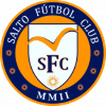 home logo