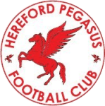 home logo