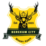 Berekum City