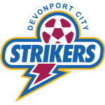 home logo