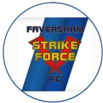 home logo