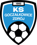 home logo
