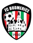 home logo
