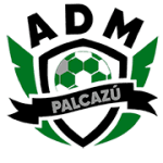 home logo