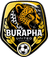 home logo