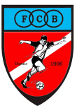 home logo