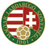 home logo