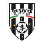 home logo