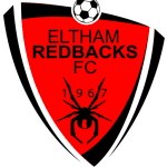 home logo