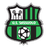 home logo