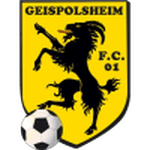 home logo