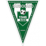 home logo